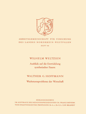 cover image of Ausblick auf die Entwicklung synthetischer Fasern. Wachstumsprobleme der Wirtschaft